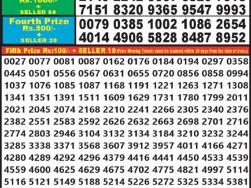 Lottery Result Today January 28, 2024
