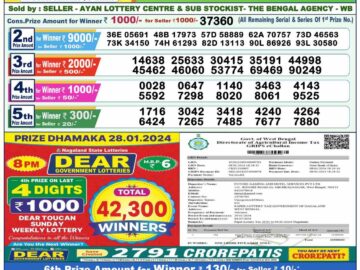 Lottery Result Today January 29, 2024
