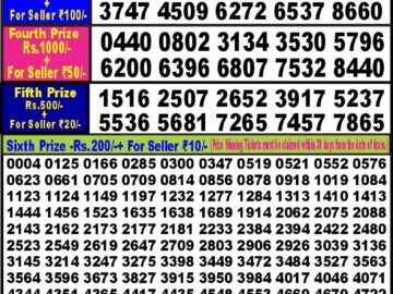 Lottery Result Today January 28, 2024