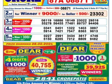 Lottery Result Today February 29, 2024