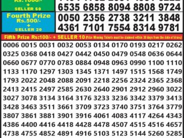 Lottery Result Today February 25, 2024