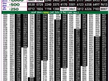 Lottery Result Today August 10, 2024