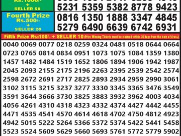 Lottery Result Today September 15, 2024