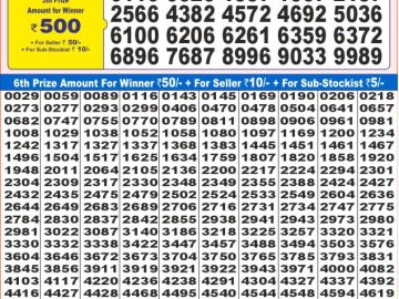Lottery Result Today November 15, 2024