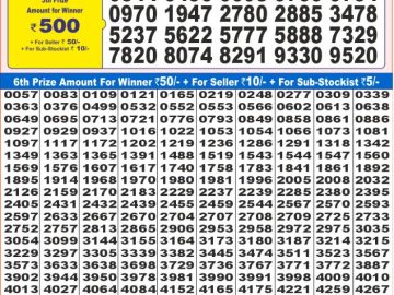 Lottery Result Today November 12, 2024