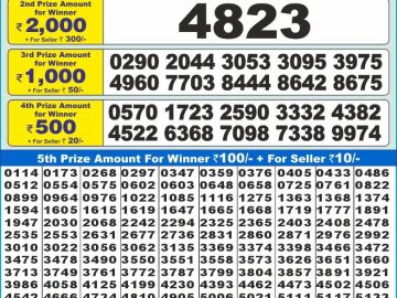 Lottery Result Today November 13, 2024