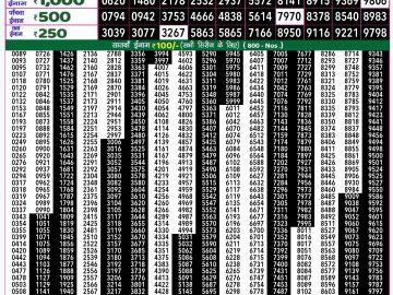 Lottery Result Today December 11, 2024