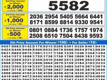 Lottery Result Today December 17, 2024