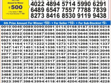 Lottery Result Today January 8, 2025