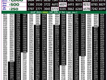 Lottery Result Today January 8, 2025