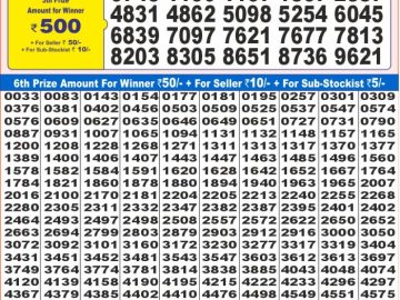 Lottery Result Today January 1, 2025