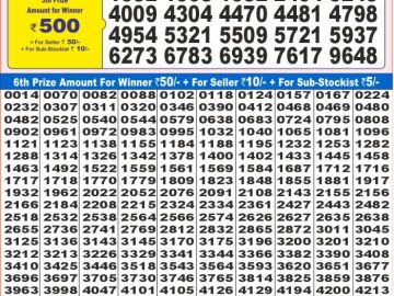 Lottery Result Today January 13, 2025