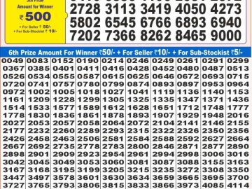 Lottery Result Today February 5, 2025