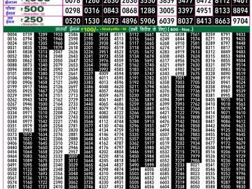 Lottery Result Today February 4, 2025