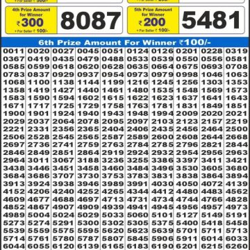 Lottery Result Today June 1, 2025