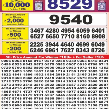 Lottery Result Today June 8, 2025