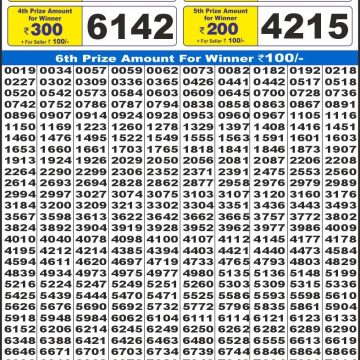 Lottery Result Today June 11, 2025