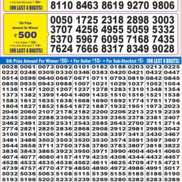 Lottery Result Today June 11, 2025