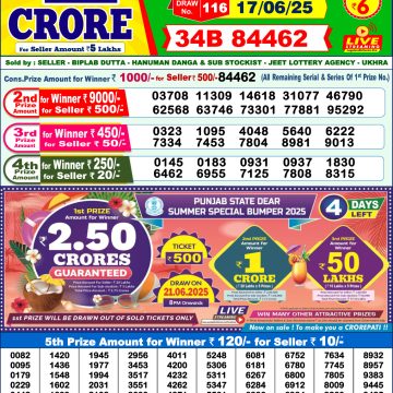 Lottery Result Today June 17, 2025