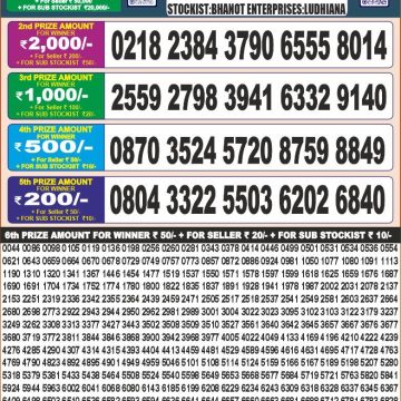 Lottery Result Today June 24, 2025