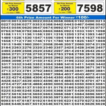 Lottery Result Today June 29, 2025