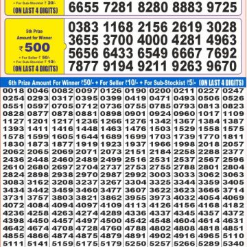 Lottery Result Today June 29, 2025
