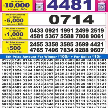 Lottery Result Today June 29, 2025