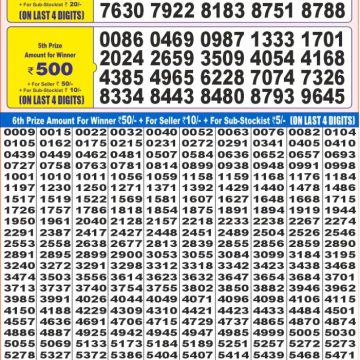 Lottery Result Today July 13, 2025