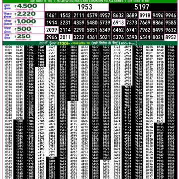 Lottery Result Today July 13, 2025