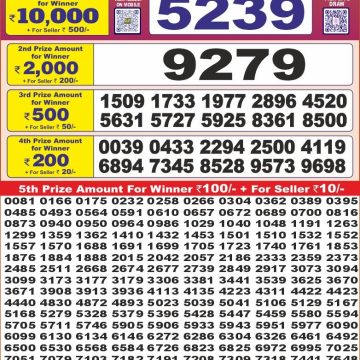 Lottery Result Today July 20, 2025