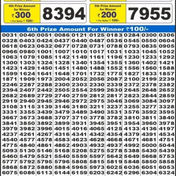 Lottery Result Today July 28, 2025