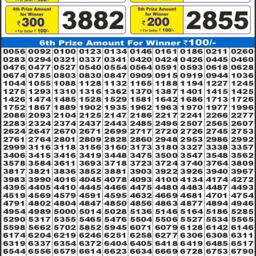 Lottery Result Today July 29, 2025