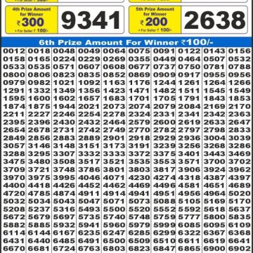 Lottery Result Today August 12, 2025