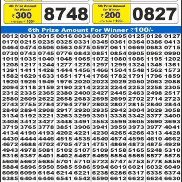Lottery Result Today August 20, 2025