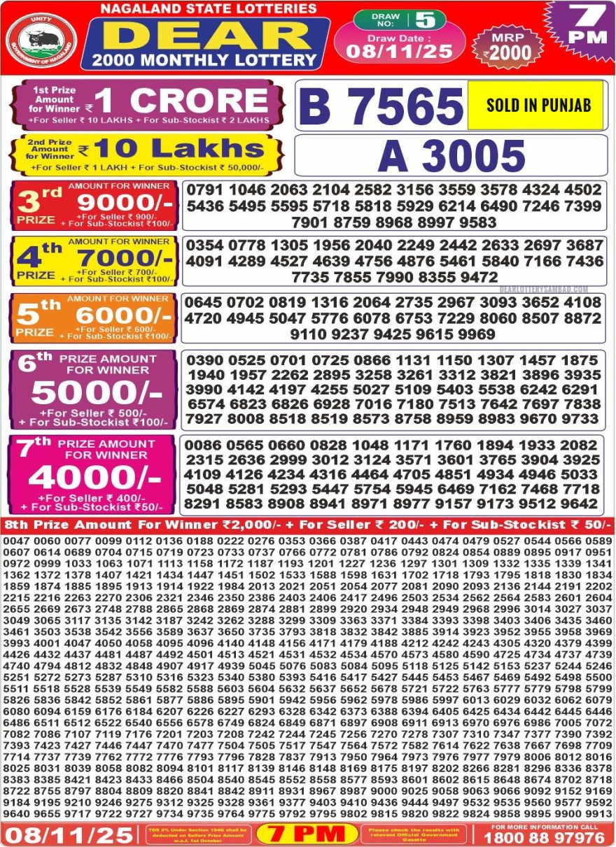 Lottery Result Today November 8, 2025
