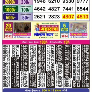 Lottery Result Today November 11, 2025