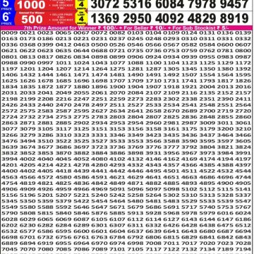 Lottery Result Today November 13, 2025