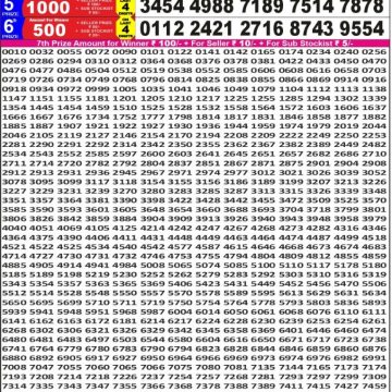 Lottery Result Today November 14, 2025