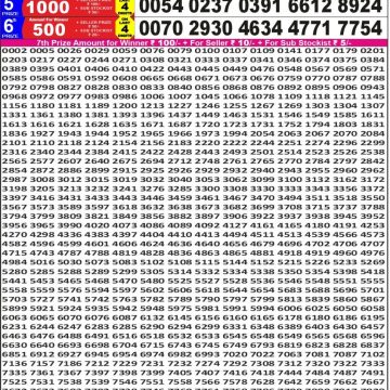 Lottery Result Today November 16, 2025