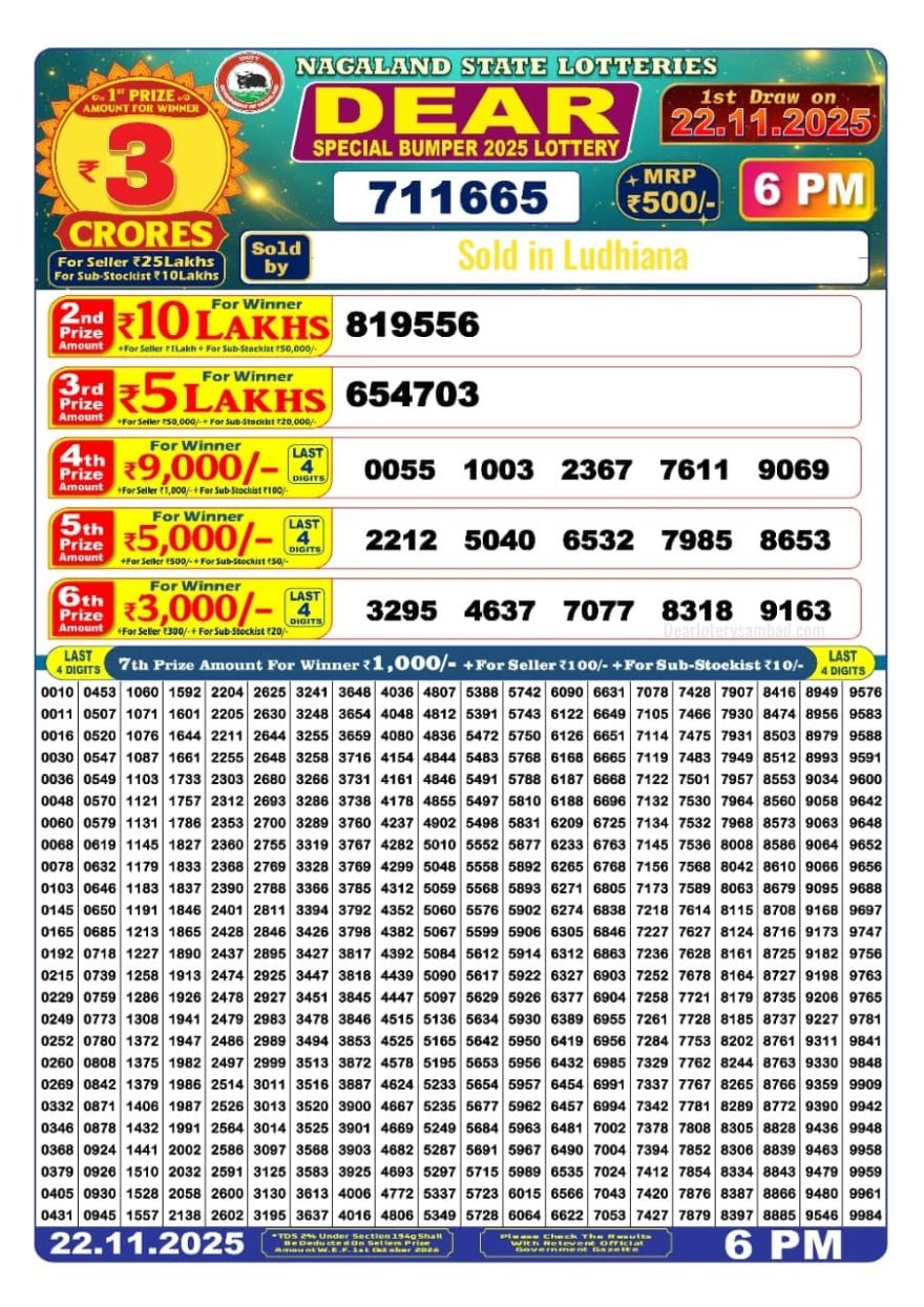 Lottery Result Today November 22, 2025