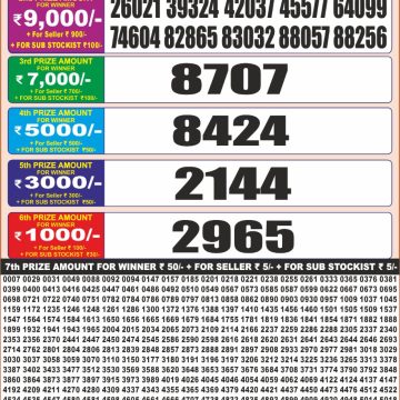 Lottery Result Today November 25, 2025