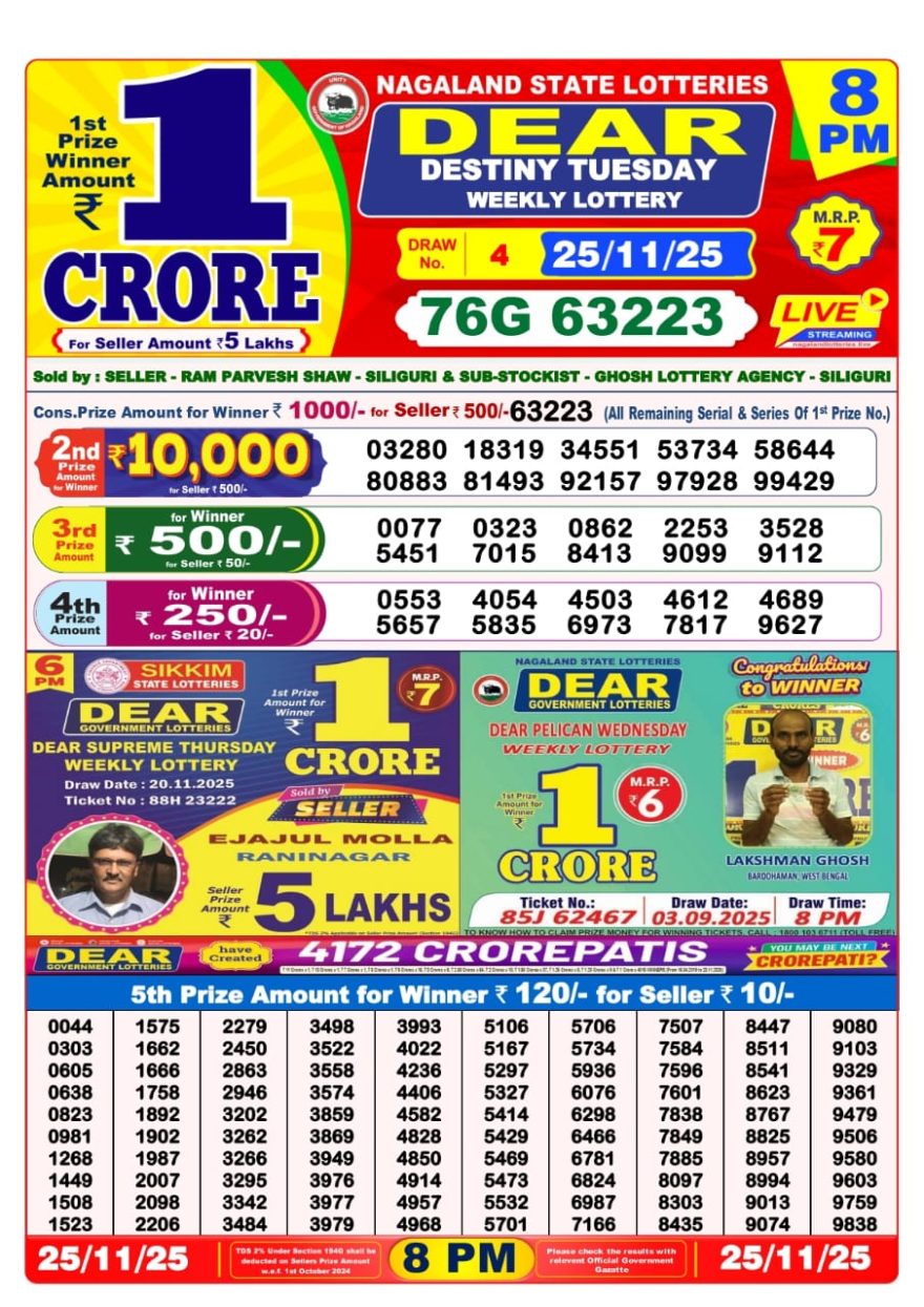 Lottery Result Today November 25, 2025