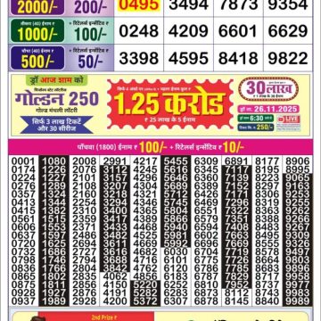 Lottery Result Today November 25, 2025