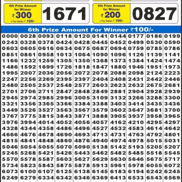 Lottery Result Today November 29, 2025