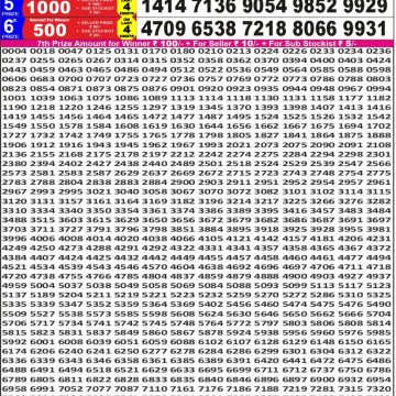 Lottery Result Today November 29, 2025