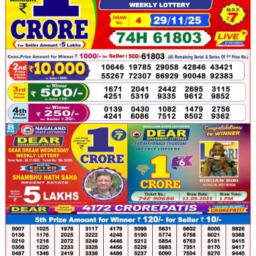 Lottery Result Today November 29, 2025