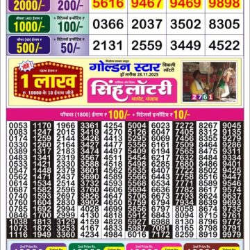 Lottery Result Today November 29, 2025