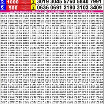 Lottery Result Today November 30, 2025
