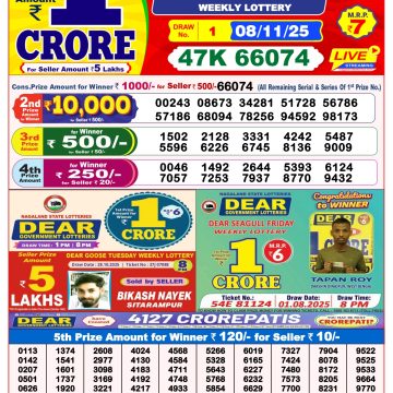 Lottery Result Today November 8, 2025