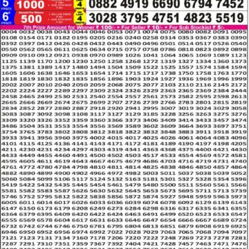 Lottery Result Today December 11, 2025